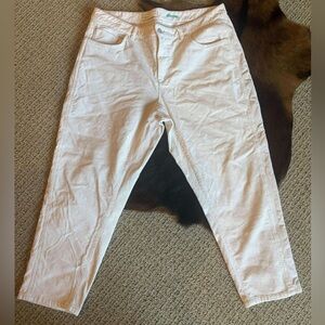 Anthropologie PlLCRO Corduroy Pant 18W Plus